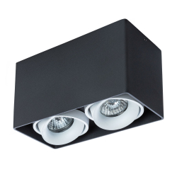 Светильник потолочный Arte Lamp Pictor A5654PL-2BK