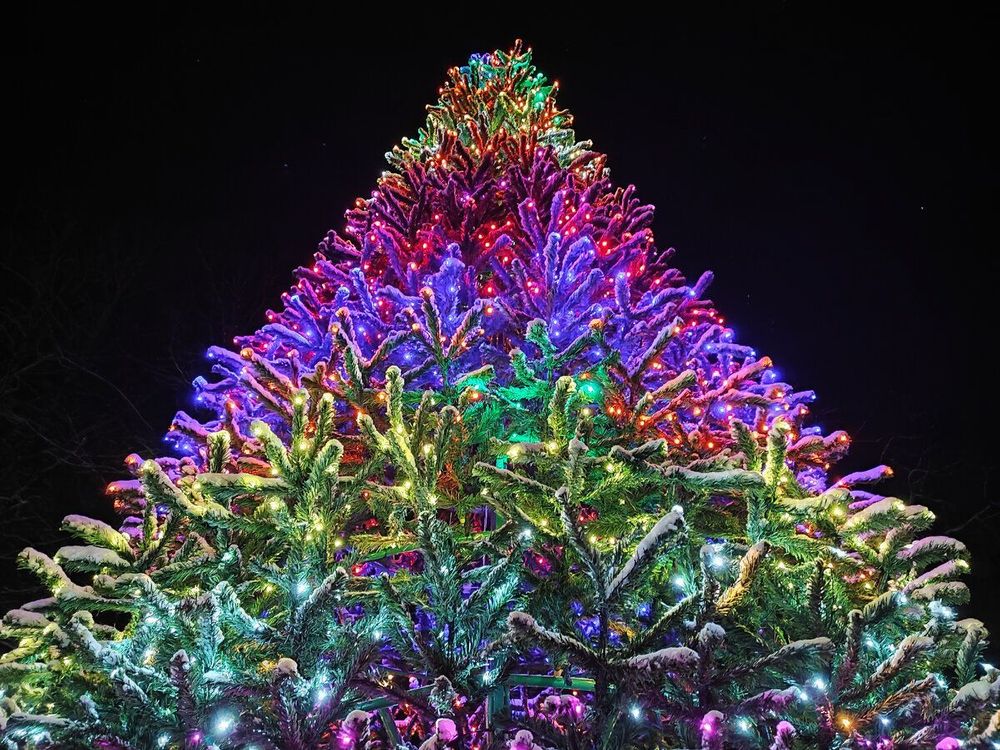 Светодинамическая елка каркасная - встроенная гирлянда цветная -"Уральская" 16 м