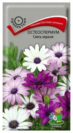 Остеоспермум семена