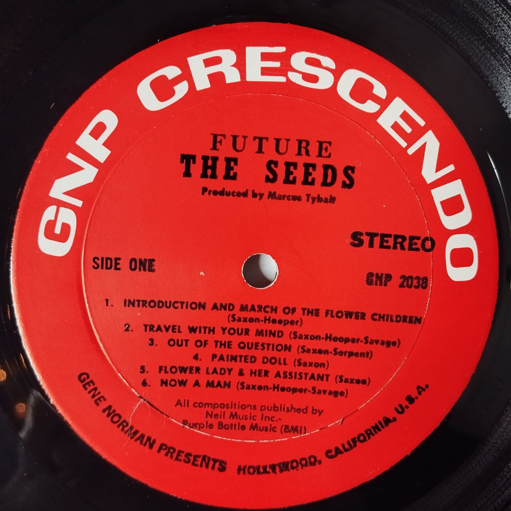 Винтажная виниловая пластинка LP The Seeds Future (USA 1967)