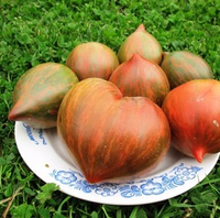 Помидоры Pearls of Wisdom - Жемчужины Мудрости