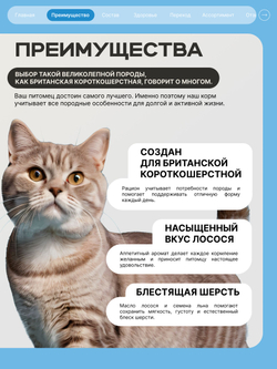 Корм сухой для взрослых кошек породы Британская короткошерстная, с лососем, 400 гр, QUATTRO
