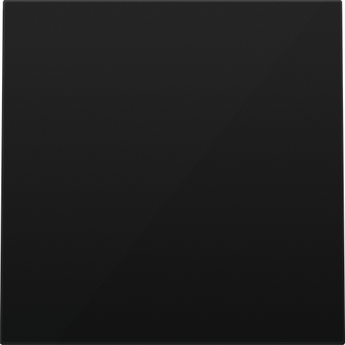 Заглушка, матовый карбон, серия R98