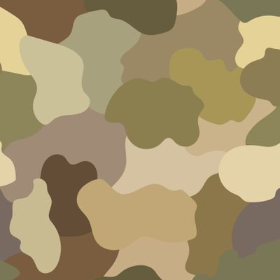 Камуфляжный узор