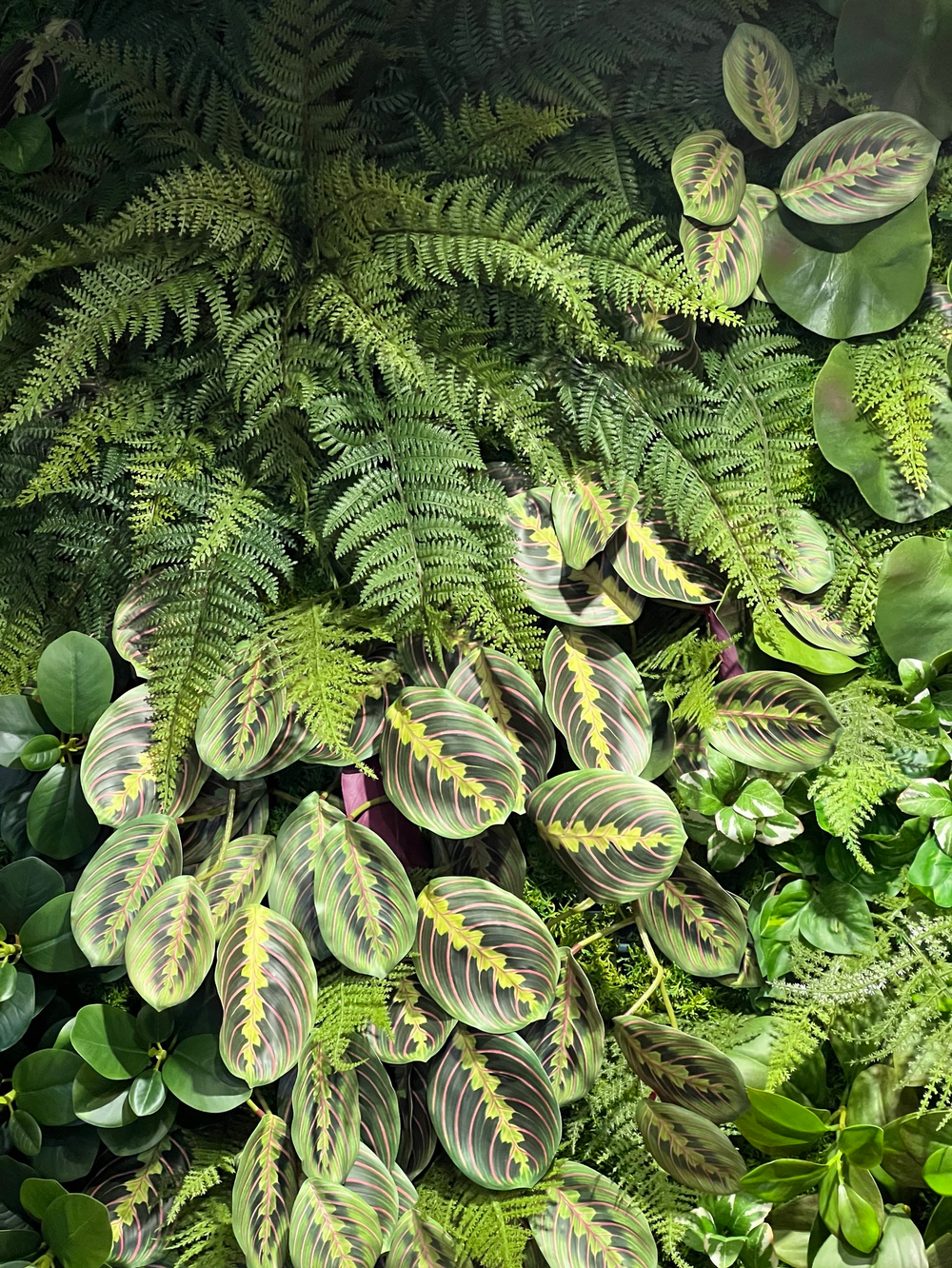 Вертикальное озеленение искусственными растениями автосалона «100 машин»