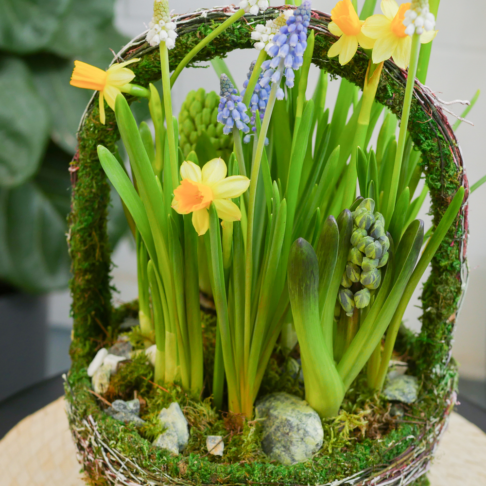 Композиция с первоцветами Лесная корзина L