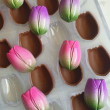 874 | Форма для шоколадных изделий (275*175мм)