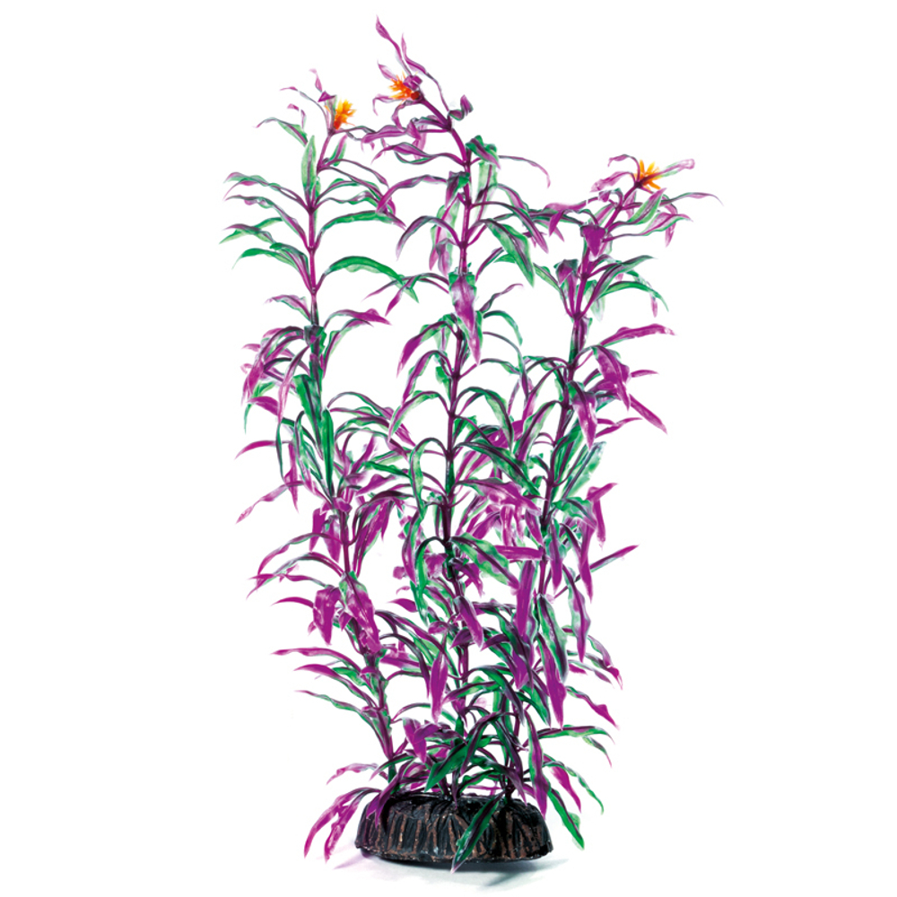 Растение "Людвигия", красно-зеленое, 300мм, Laguna