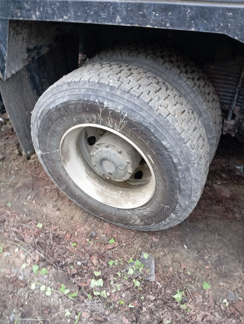 Shacman (Shaanxi) SX* 8x4 Самосвал SX33186T366 (Дизельный, 12,5 л, 550 л.с., МТ)