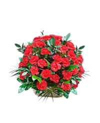 Ритуальная корзина из живых цветов 50 красных гвоздик