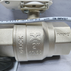 Gidrolock Professional 24V G-lock 2" BS FB