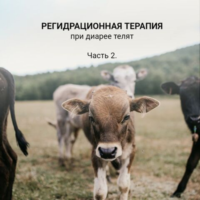 РегидроПлюс для телят, электролитный напиток, 1000 мл.