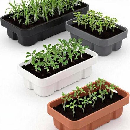 Ящики для рассады