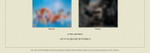 Альбом NIZIU - PRESS PLAY 1st Single Album 2 Version SET