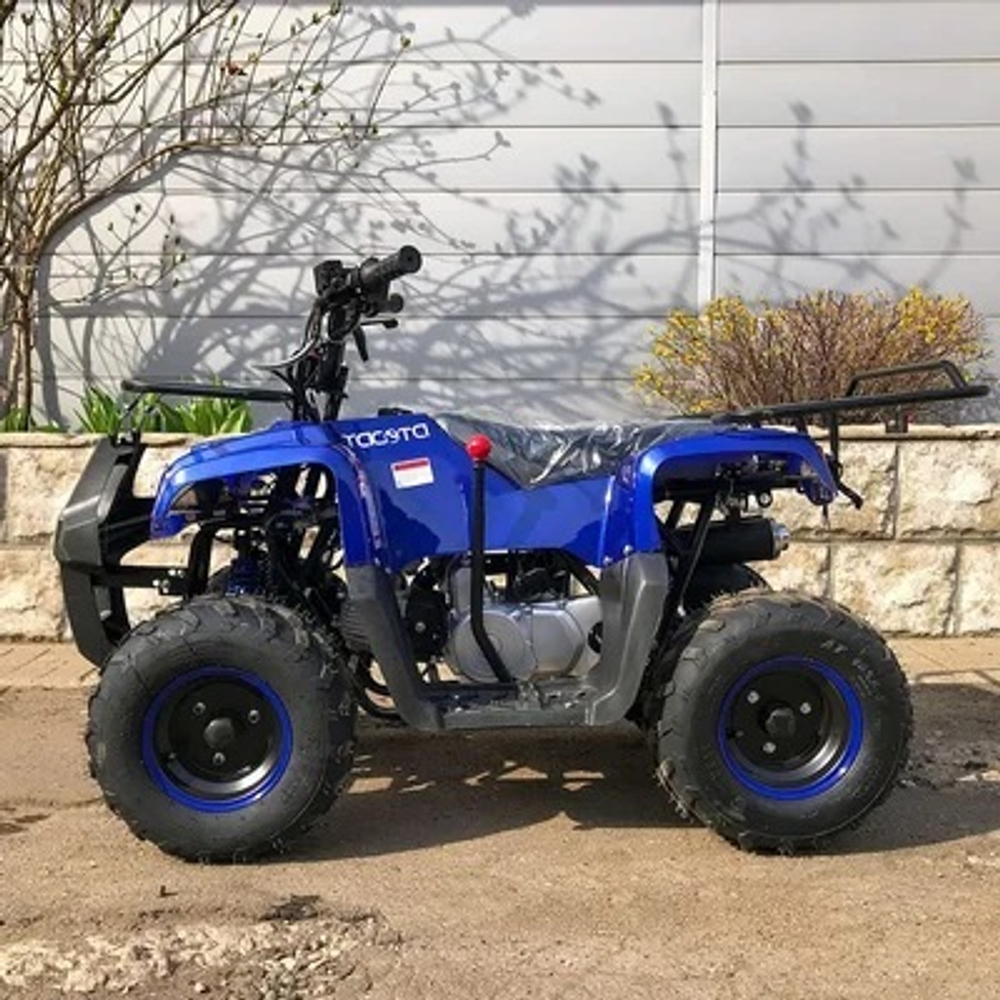 Квадроцикл YACOTA SMARTY 110