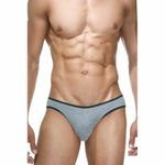 Трусы мужские слипы серые DARKZONE DZN6503