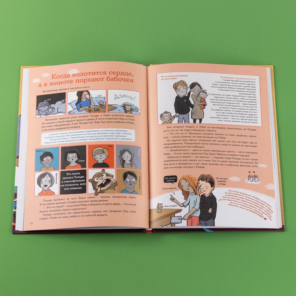 Что такое человек? Записки любознательного хомяка