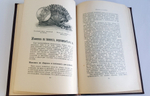 "Живопись по фарфору, стеклу, тканям, коже и дереву. Руководство для любителей"   1897 г. - редкая книга