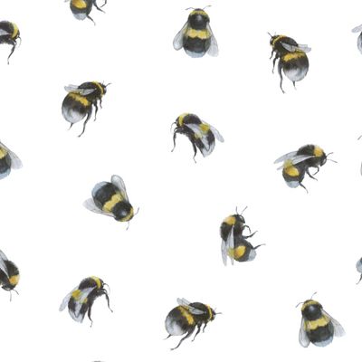 Акварельные пчелки и шмели на белом фоне