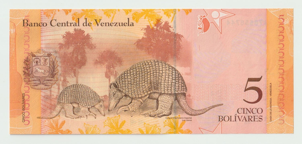 Venezuela, 5 Bolívares, 2009, UNC