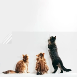 Пленка самоклеющаяся для мебели,от кошки, и наклейка на фартук кухни, прозрачная,с клеем, 60*300см