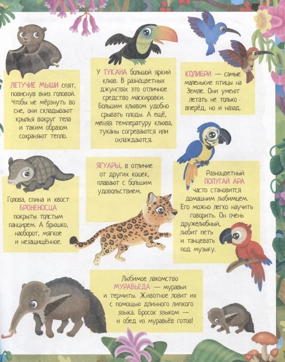 Книжка с наклейками формат А4. Приключения в разноцветных джунглях. 50 наклеек, изд.: Айрис, авт.: Барсотти Э., серия.: Книжки с наклейками