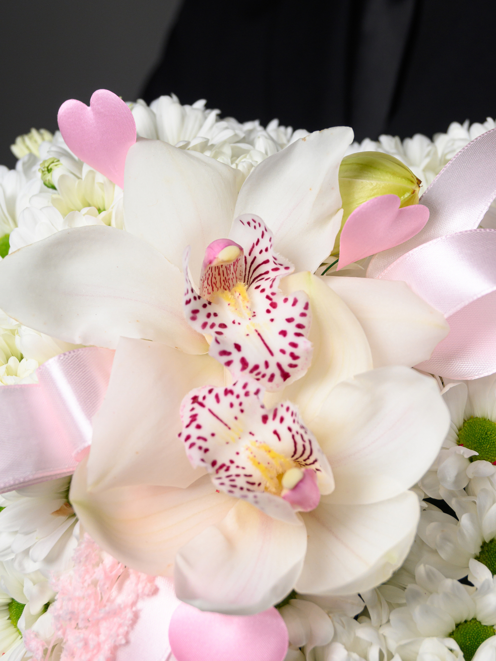 Моя Нежность