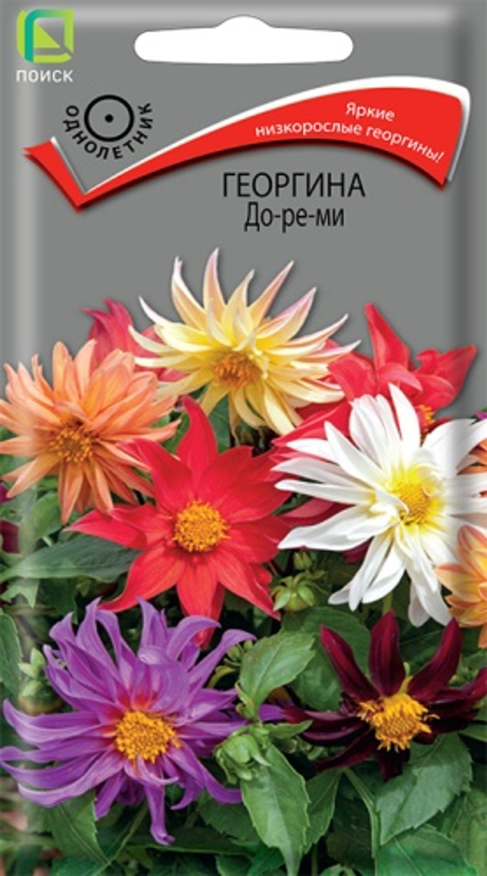 Георгина До-ре-ми 0,1гр. (Поиск)