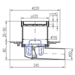 Душевой трап Azario 125х125 Dn 50 горизонтальный выпуск, с решеткой из нержавеющей стали, гидрозатвором (AZ-381 A)