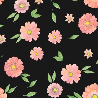 розовые цветы (маргаритки) на черном фоне