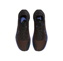 Мужские кроссовки Nike Pegasus Trail 4 Gore-tex 'Brown Black Blue' FB2193-200