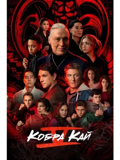 Кобра Кай, сезон 5 (DVD-R)