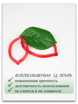 Лист аронии большой (черноплодная рябина)