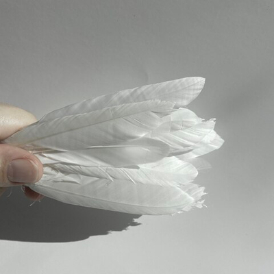 Перья утки белые 2 сорт 15 шт.