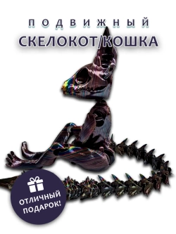 Скелет Кошки