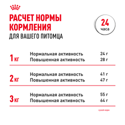 Royal Canin Chihuahua Adult Корм сухой для взрослых собак породы Чихуахуа от 8 месяцев - 1,5 кг