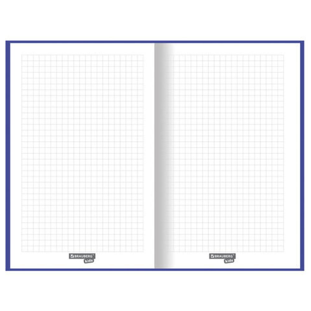 Блокнот А5 (134х206 мм), 80 л., твёрдый, клетка, BRAUBERG KIDS, "Радужные котики", 114417