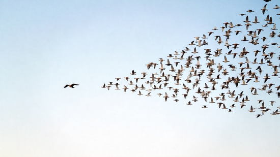 Мотивация к успеху: как пробудить искреннее желание преуспеть