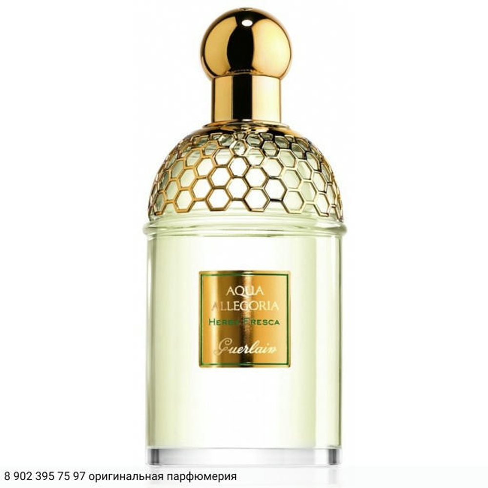 Aqua Allegoria Herba Fresca