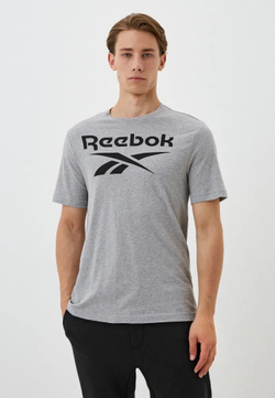 Футболка мужская REEBOK CHAD BIG LOGO CREW NECK SS TEE