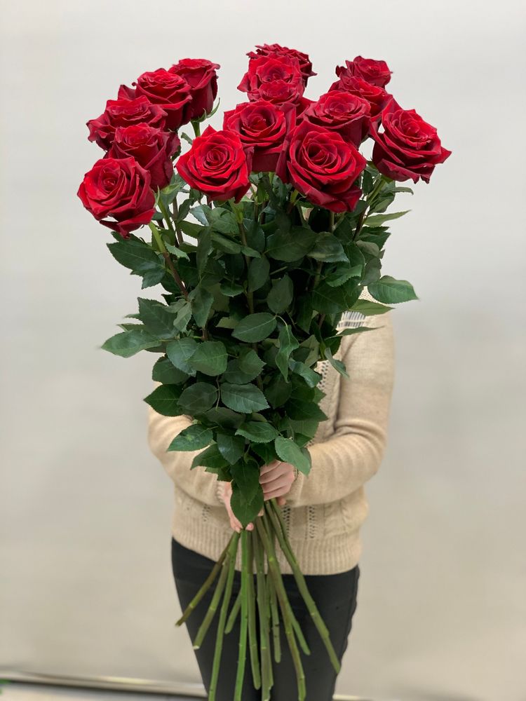 Букет 15 метровых роз красные в ленте