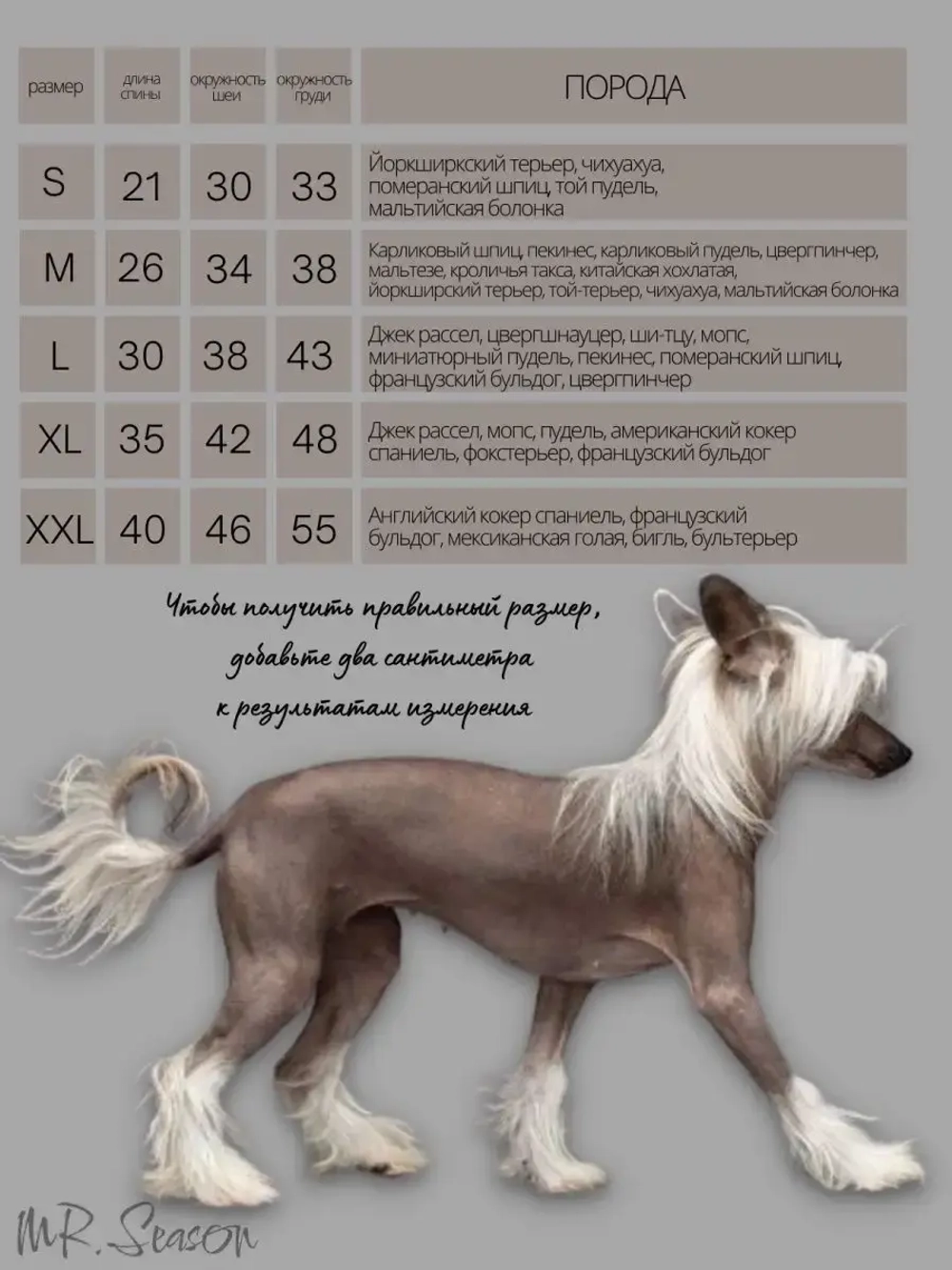 Свитшот для собак CHICA ROOM — Небесно-голубой