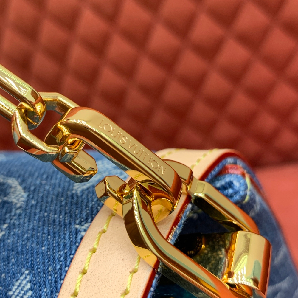 Louis Vuitton Dauphine Soft GM