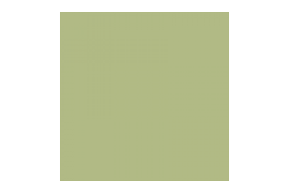 Фон бумажный FST 2,72х11 1019 Tropical Green (Фисташковый)