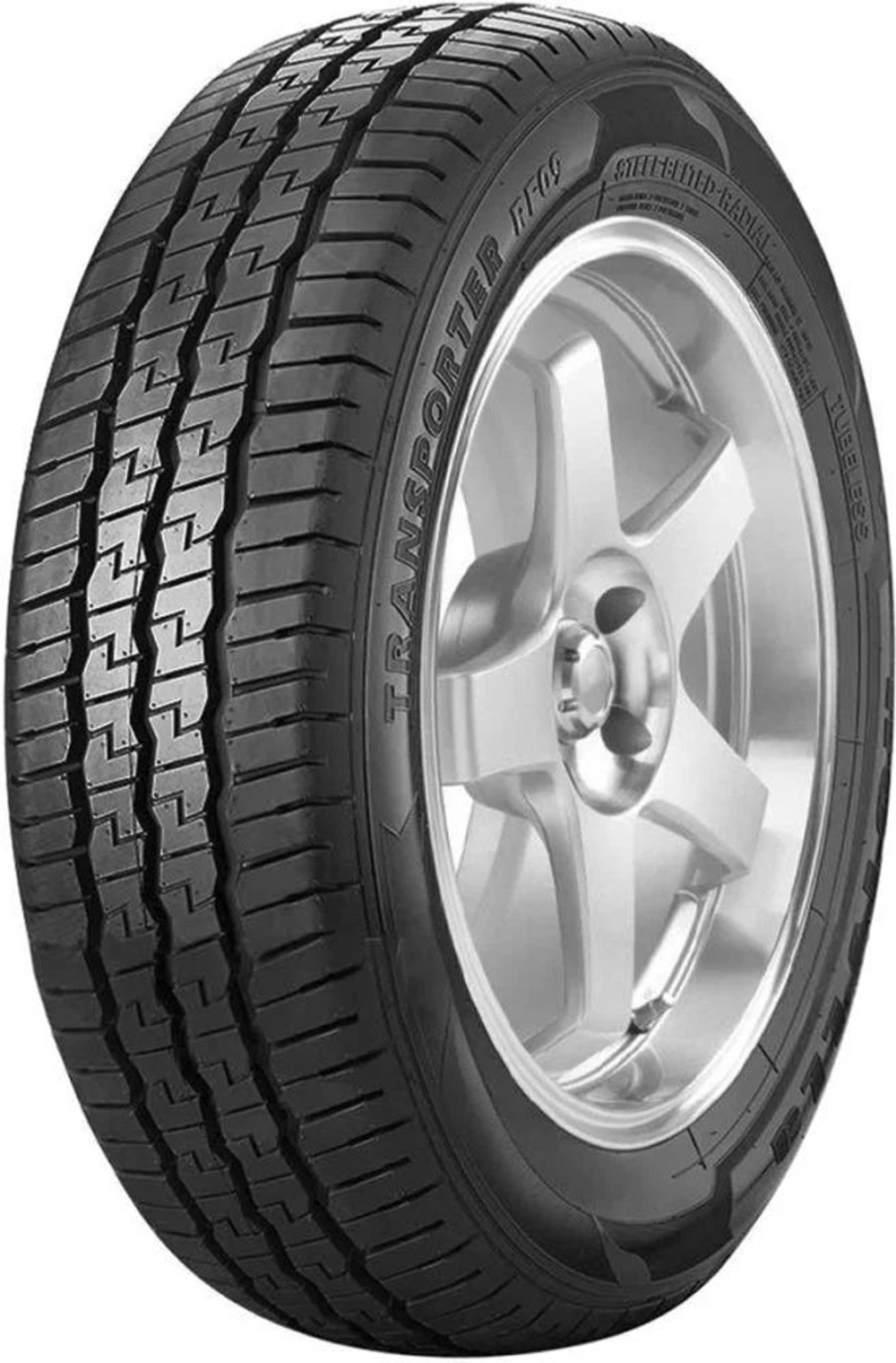 Летняя шина Tracmax Transporter RF09 (215/65 R16C 109R)