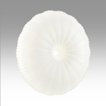 Потолочный светодиодный светильник Sonex ANIX 7678/ELN