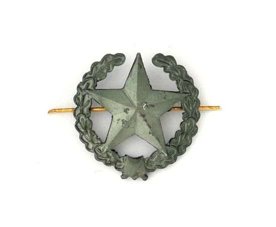 Эмбл. петл. мет. Сухопутные войска ст\обр, защ.