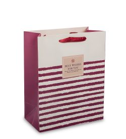 WF-53 Пакет подарочный малый