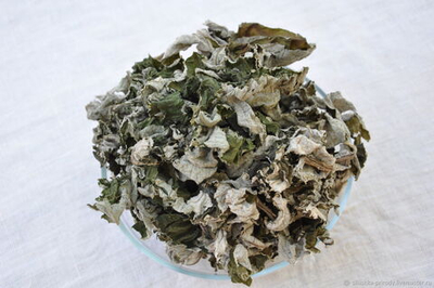 Лопух трава 10 гр для свечей, творчества и ритуалов