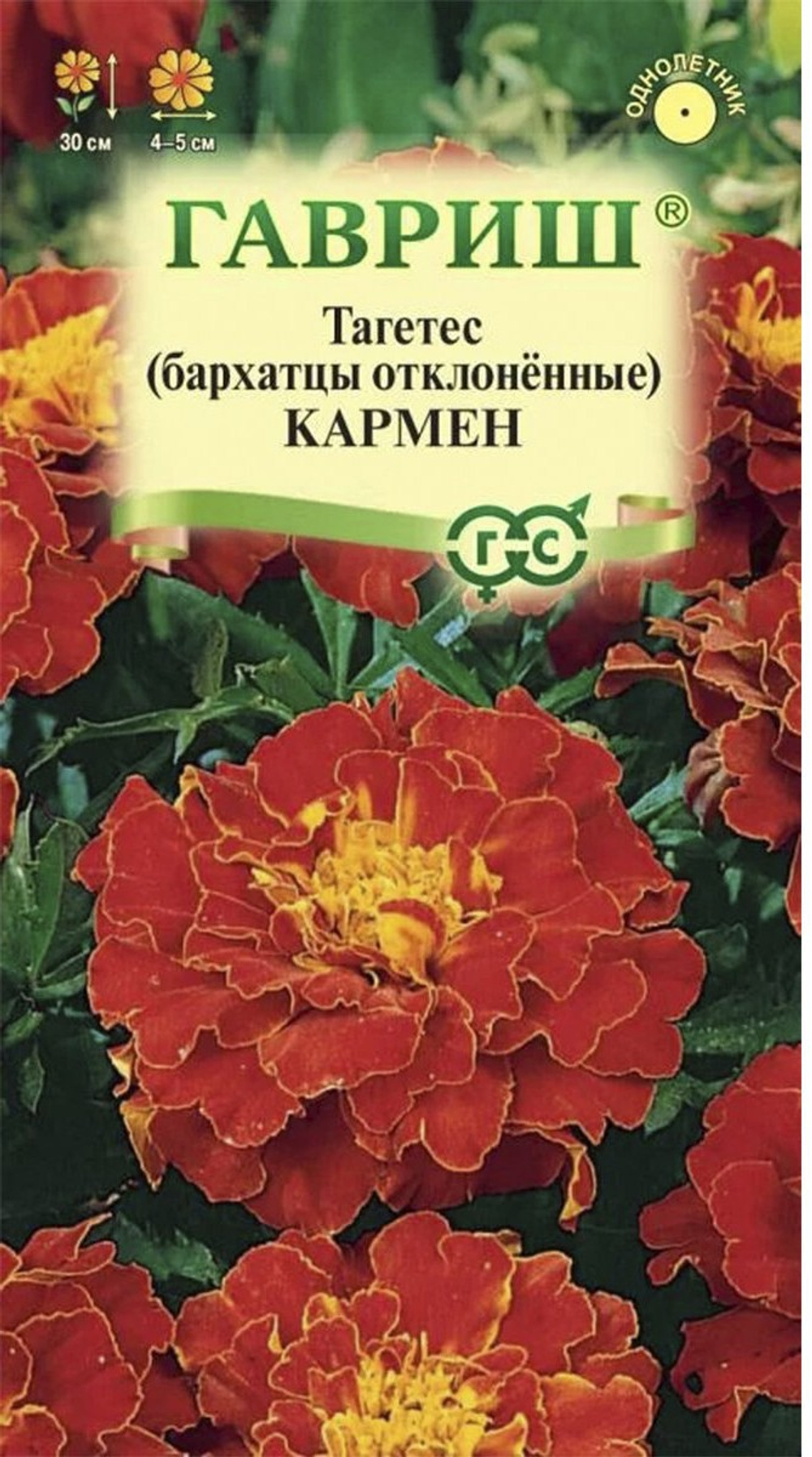 кармен